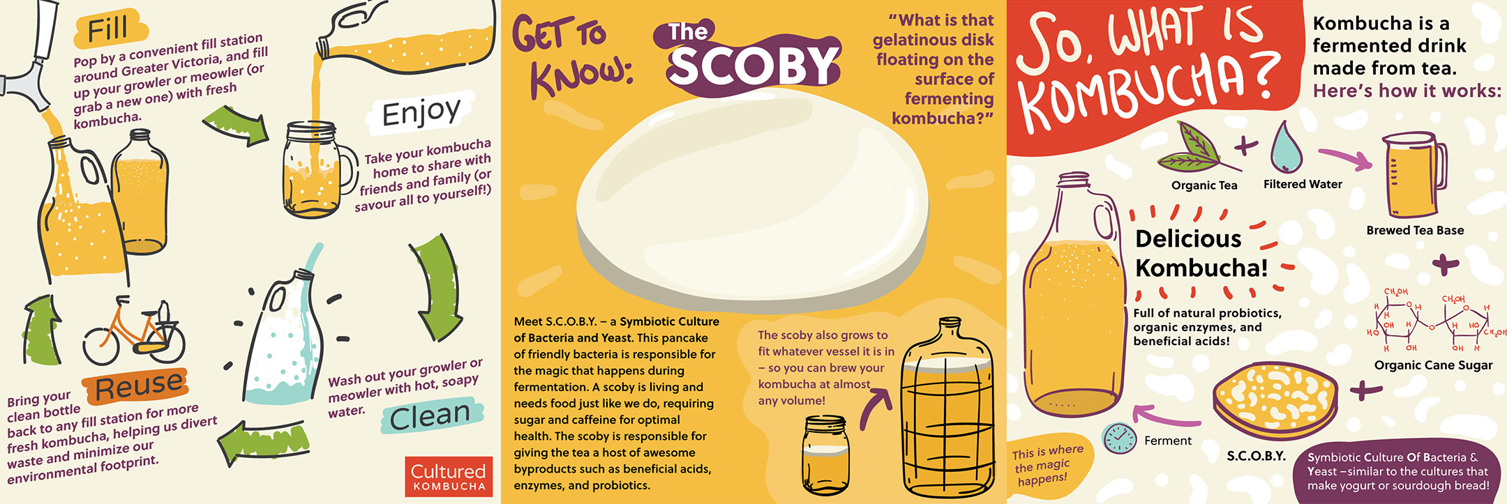 Kombucha Infographics